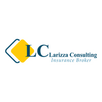 LC Larizza Consulting
